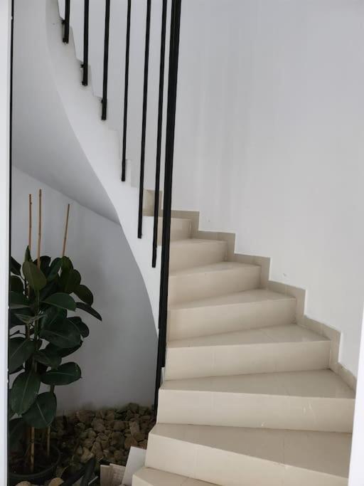 Contempory Exclusive Sitges Area Olivella Exterior foto